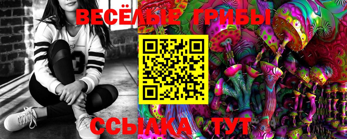 Балашиха  Псилоцибиновые грибы мицелий  Вход с VPN  Псилоцибиновые грибы Cubensis 